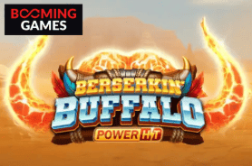 Game 2 Bizzo Casino